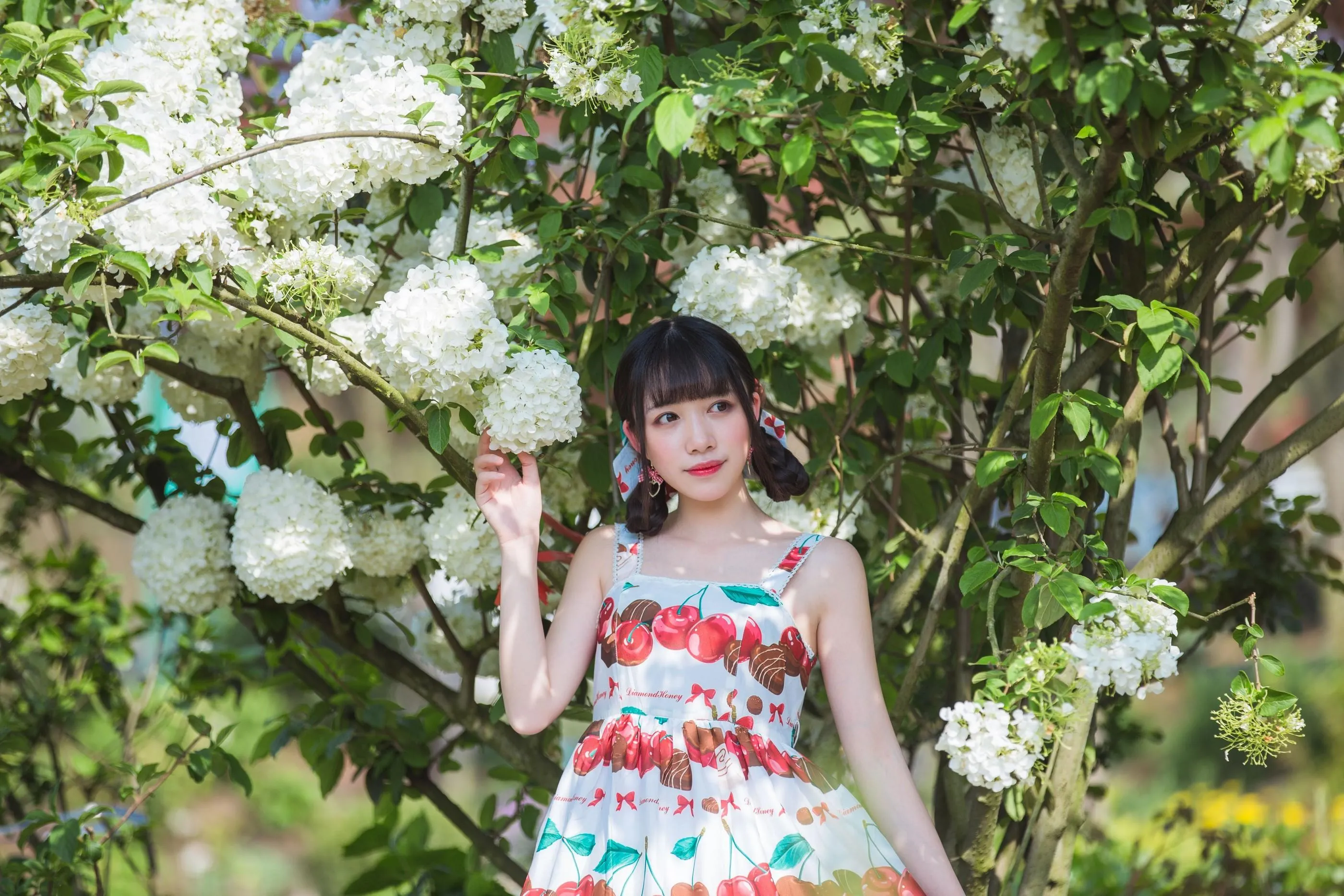 [艺图语] 2022.05.20 绣球花 小风 [43P]插图7